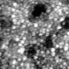 Topography of CdSe-QDs Films obtained by STM (Collab. F. Charra)