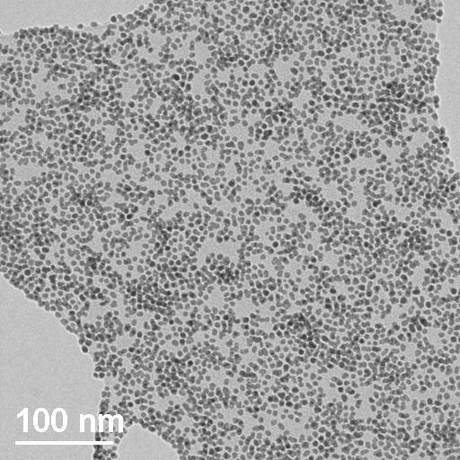 Iron Platinum nanoParticles