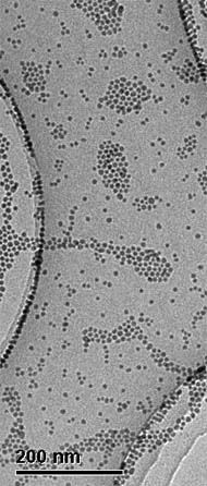 Colloidal Silver nanoParticles